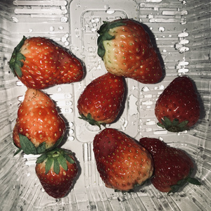 男生自慰✅高清免费
